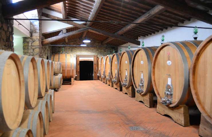 Cantina Fontodi in Toscana