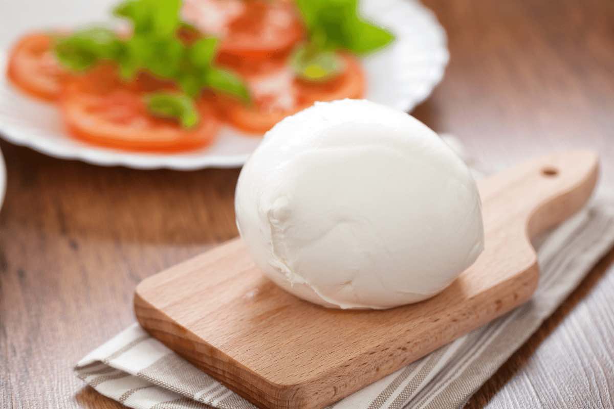 Con quali vini e birre accompagnare la mozzarella di bufala