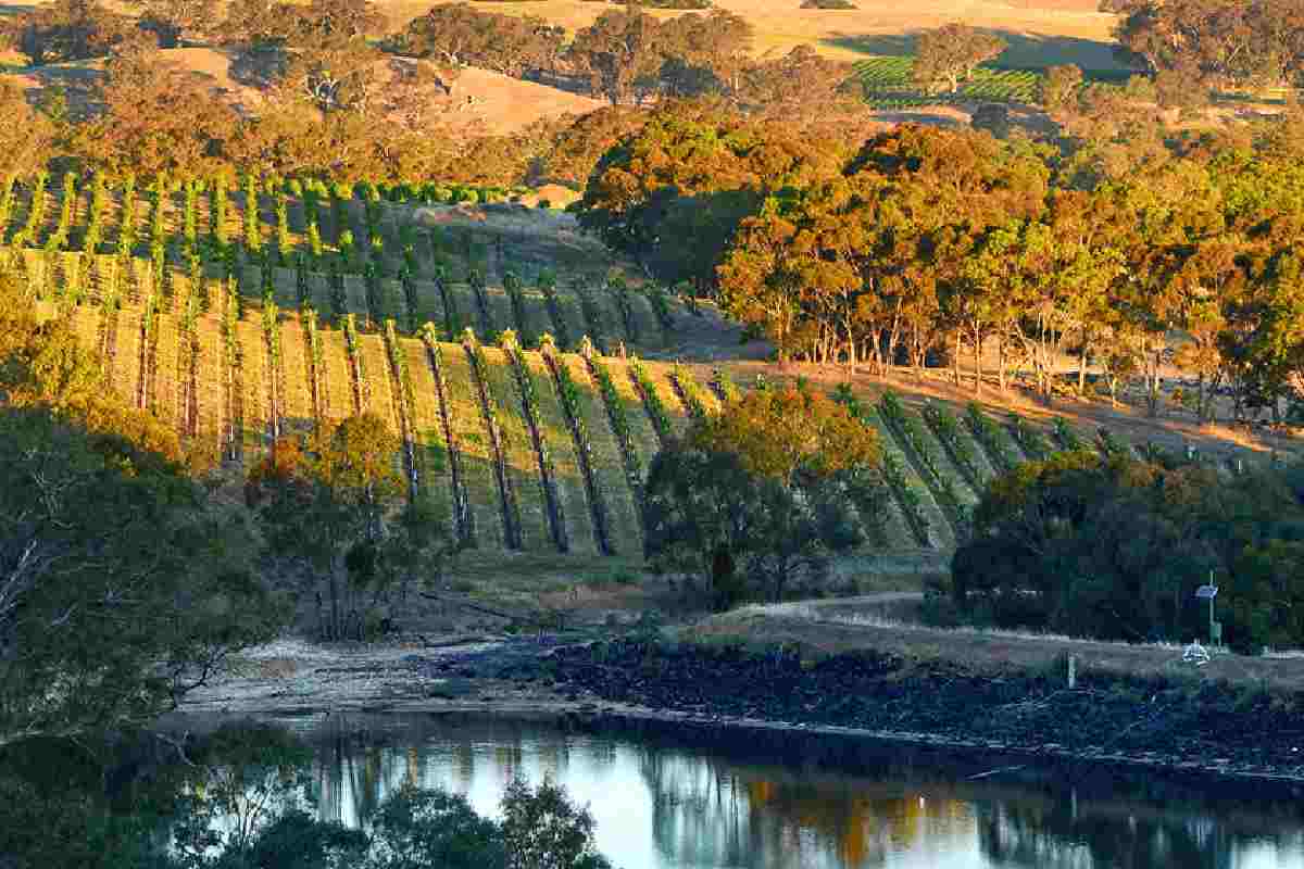 Eden Valley, Australia