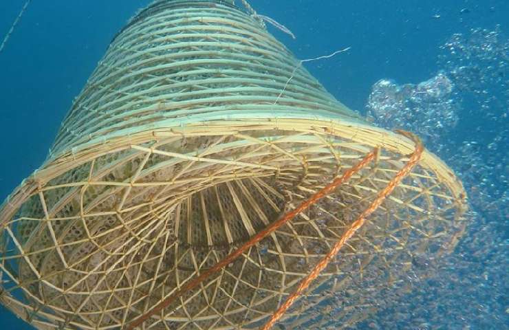 Vino marino dell'Azienda Agricola Arrighi dell'Isola d'Elba