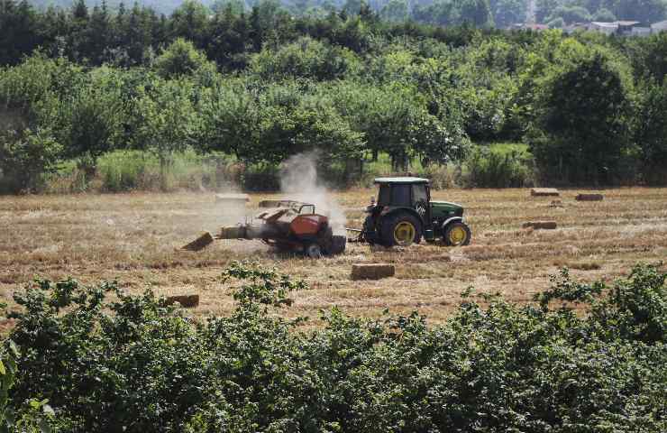 Lavoro nei campi