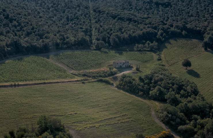 Territorio della Tenuta San Guido