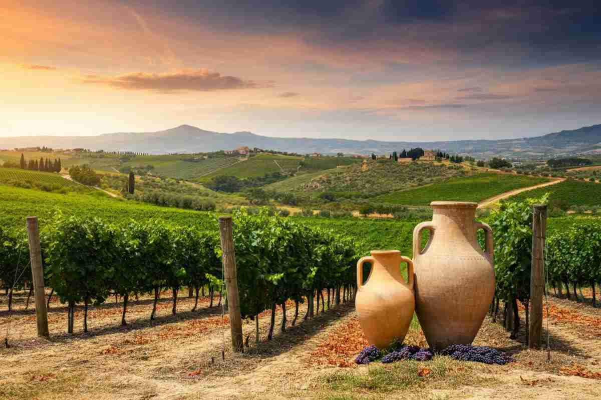 La Sicilia del vino: un viaggio nel futuro con InnoNda e il Nero D'Avola