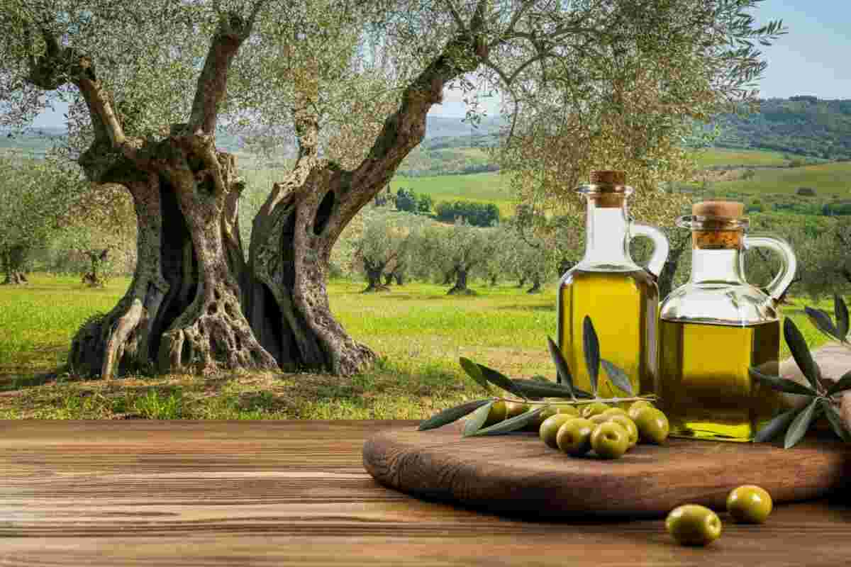 Olio Italia: Esportazioni in Crescita del 59%, ma Attenzione a Speculazioni e Minacce di Xylella!