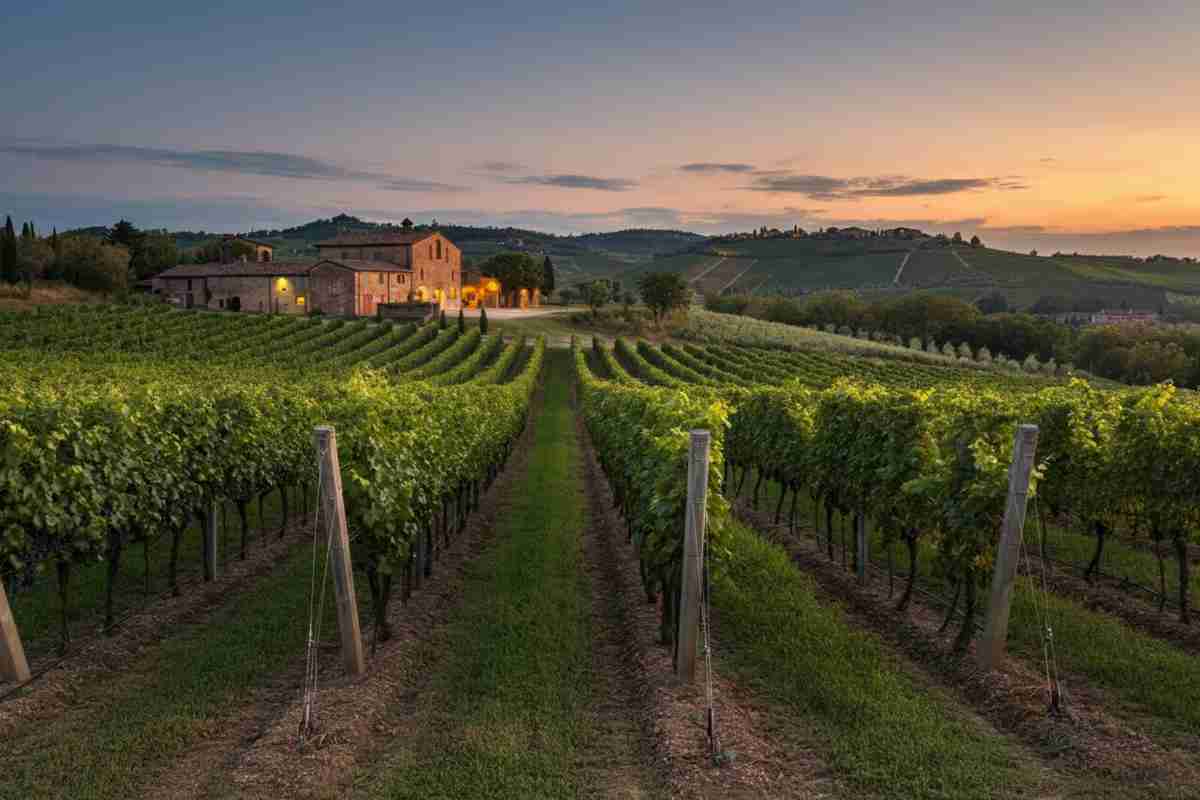 Rigotti riconfermato alla guida del Gruppo Lavoro Vini di Copa-Cogeca