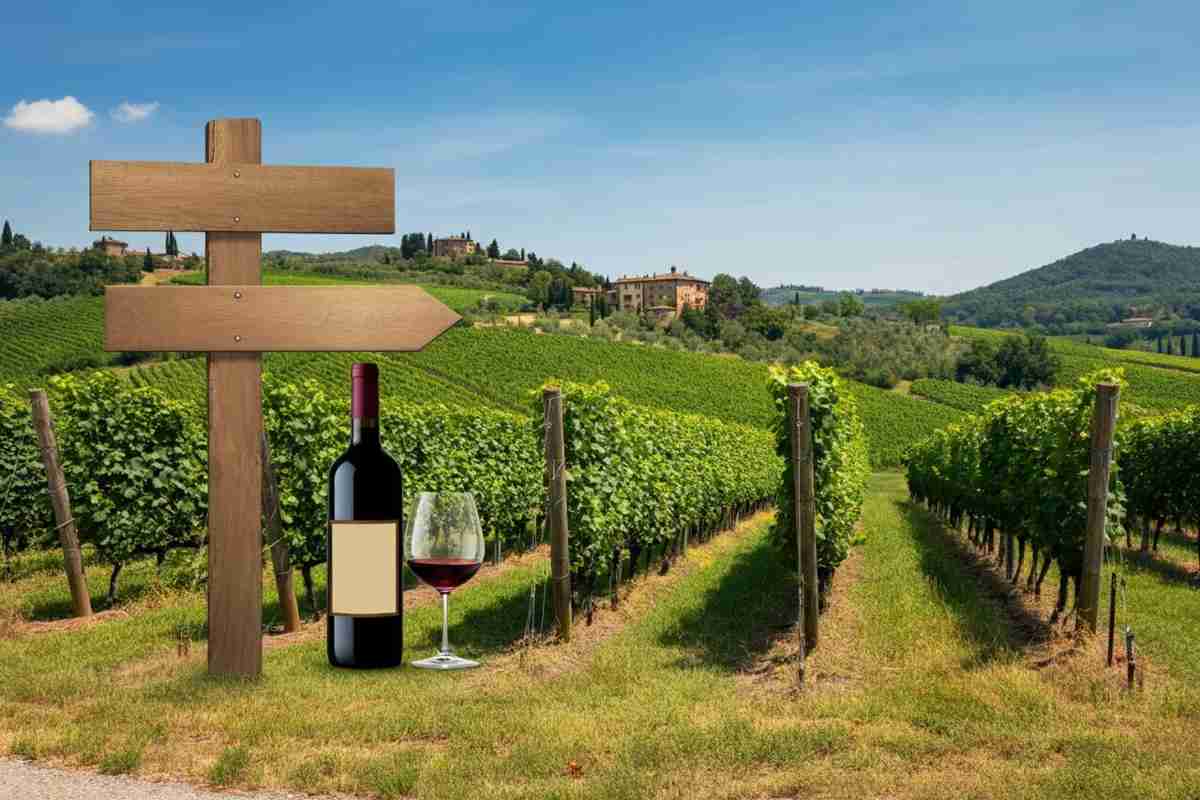 Rivoluzione nel Mondo del Vino: Scopri le Nuove Etichette al Convegno Assoenologi!