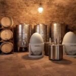 Scegliere il materiale giusto per il vino: legno, acciaio, cemento o terracotta?