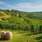 Scopri la magia della Strada del Prosecco con Visit Cantina