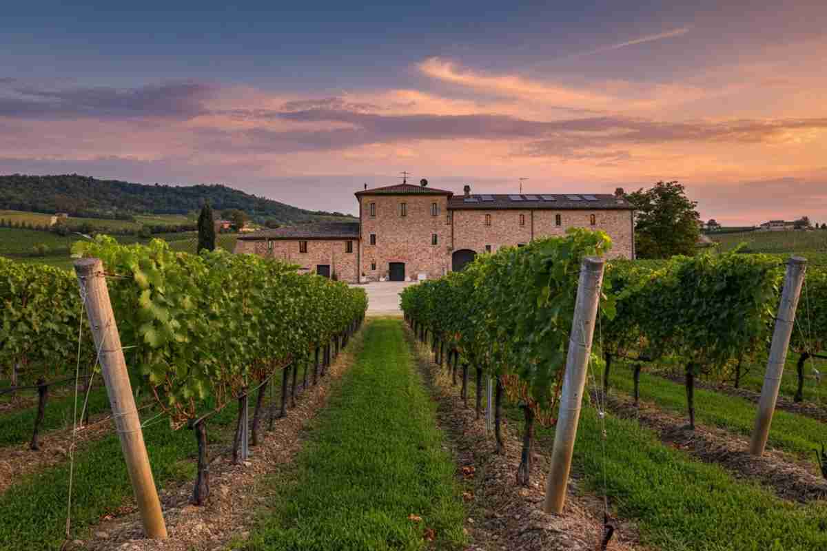 Tenute Muròla: un viaggio tra i vini e le tradizioni dei Piceni