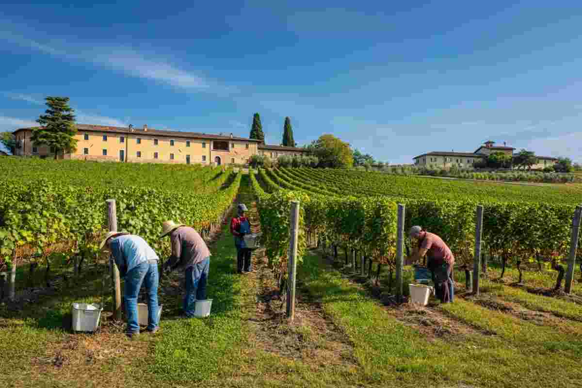 Accordo storico per il Consorzio vini Oltrepò Pavese: nuove regole per il Metodo Classico