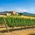 Umbria del vino: le cantine vincitrici del concorso enologico 2025 svelano i loro segreti