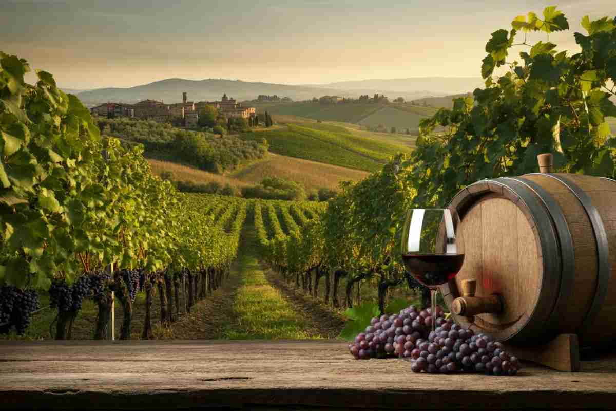 Vino italiano: le nuove tendenze e opportunità nei mercati emergenti