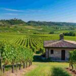 Dazi USA: un pericolo per l'export dei vini della Valpolicella