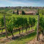 Franciacorta: equilibrio tra regole consortili e valorizzazione del territorio