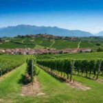 Franciacorta: la sorprendente ascesa di un vino italiano che conquista il mondo