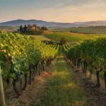 Gratena presenta il meglio della Toscana a Prowein 2025