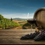 Sassicaia: il Supertuscan che conquista il titolo di miglior vino rosso d'Italia