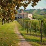 Villa Vitas: un secolo di tradizione vinicola nel cuore del Friuli