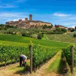 Volpaia e Sarzi Amadè: una storia di tradizione e passione nel Chianti Classico